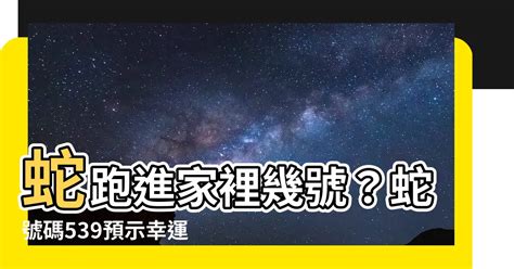 蛇跑進家裡幾號|【蛇跑進家裡代表什麼】蛇跑進家裡竟藏吉凶預兆？風水專家揭開。